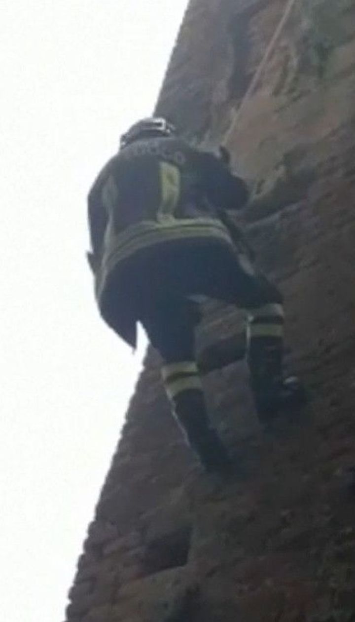 Пожежник піднявся на замок у Мілані, аби визволити безпритульне кошеня