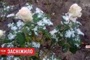 Перший сніг випав на Рівненщині і Волині