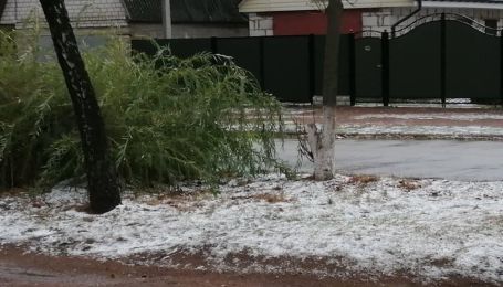 У Житомирській області засніжило: містяни діляться світлинами