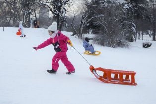 В румынских Карпатах произошел снежный коллапс: по стране ударили морозы, а дороги превратились в катки