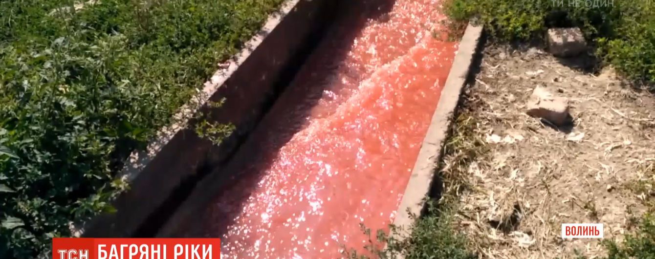 Криваві річки: на Волині місцеві занепокоєні зливанням у ґрунт відходів птахофабрики