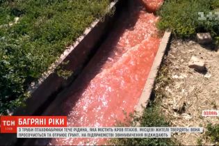 Кровавые реки: на Волыни местные обеспокоены сливом в почву отходов птицефабрики