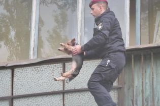 В Киеве на Лесном вспыхнула квартира – из огня вытащили четырех детей и собачку