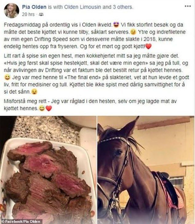 пост про коня