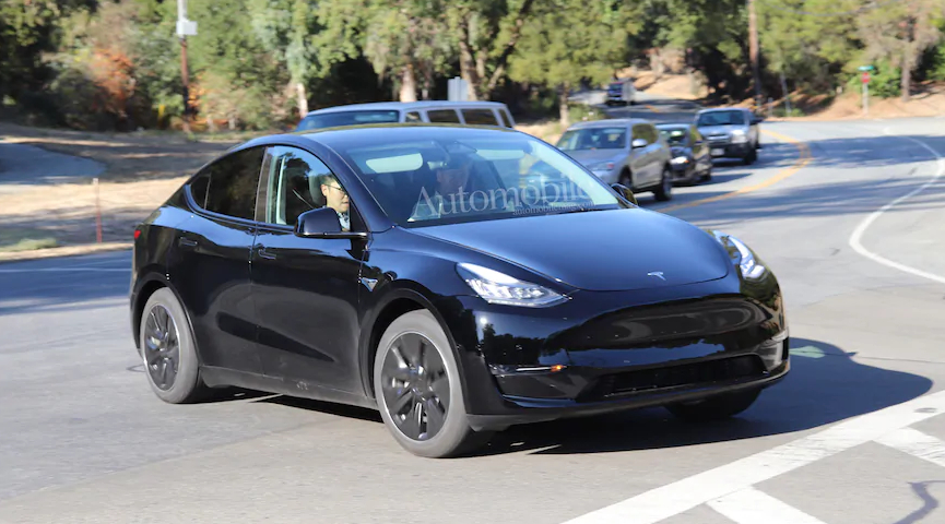 Model Y_5