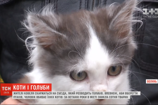 Жители двух улиц Ковеля утверждают, что их котов ловит и убивает сосед