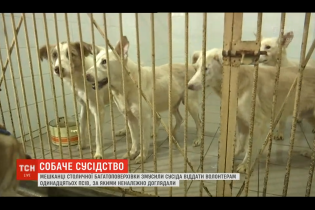 Жители столичной многоэтажки восстали против соседа, который десять лет держит в квартире собак
