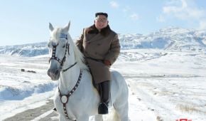 Северокорейский "принц" Ким Чен Ын на белом коне поднялся на гору: опубликовано фото
