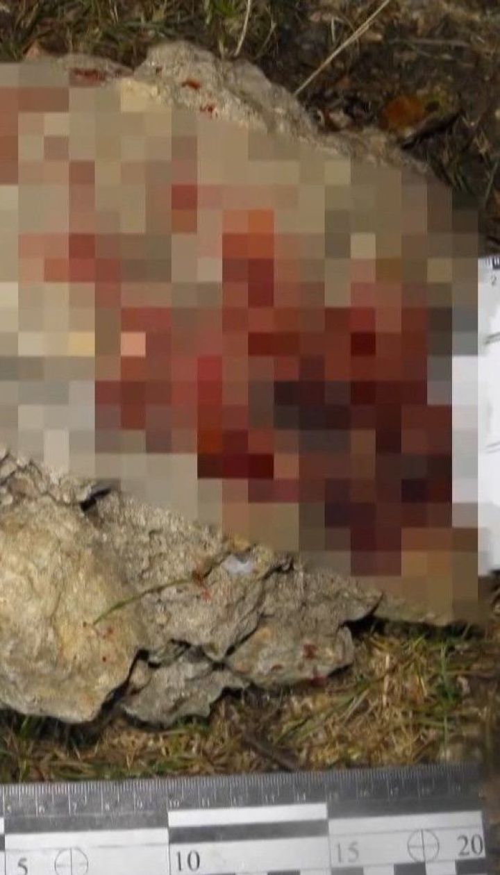 У Житомирі чоловік за кермом легковика влетів у зупинку - під колесами опинився пасажир