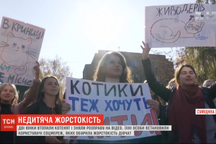 Сумские студентки утопили в колодце котят: почему подростки не понесут ответственности