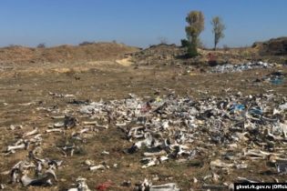 В Крыму на заброшенном карьере нашли разбросанными почти две тонны костей животных