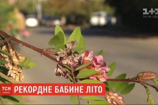 В этом году "бабье лето" в Украине побило все рекорды