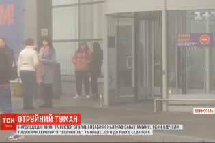 Запах аммиака, который парализовал "Борисполь" попал в аэропорту с поля. Его обрабатывали аграрии