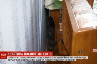 Киевлянка сдала в аренду квартиру и получила вместо денег 40 котов и собаку