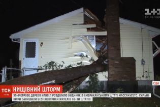 Повалене штормом 30-метрове дерево розполовинило будинок у США