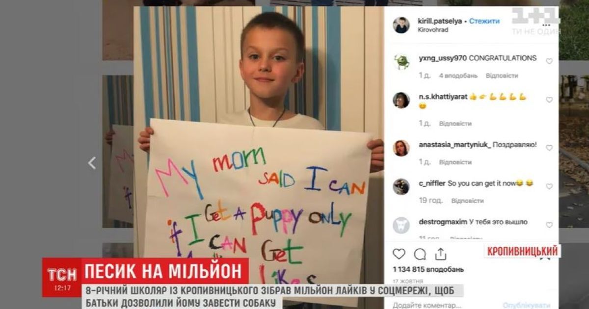 8-летний кропивничанин собрал миллион лайков со всего мира, чтобы ему подарили щенка