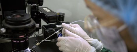 Ученые открыли новый штамм ВИЧ-инфекции
