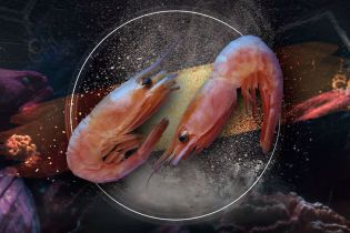 Угри "под кайфом" и кокаиновые креветки. Как наркотики и лекарства попадают в океан и чем это грозит
