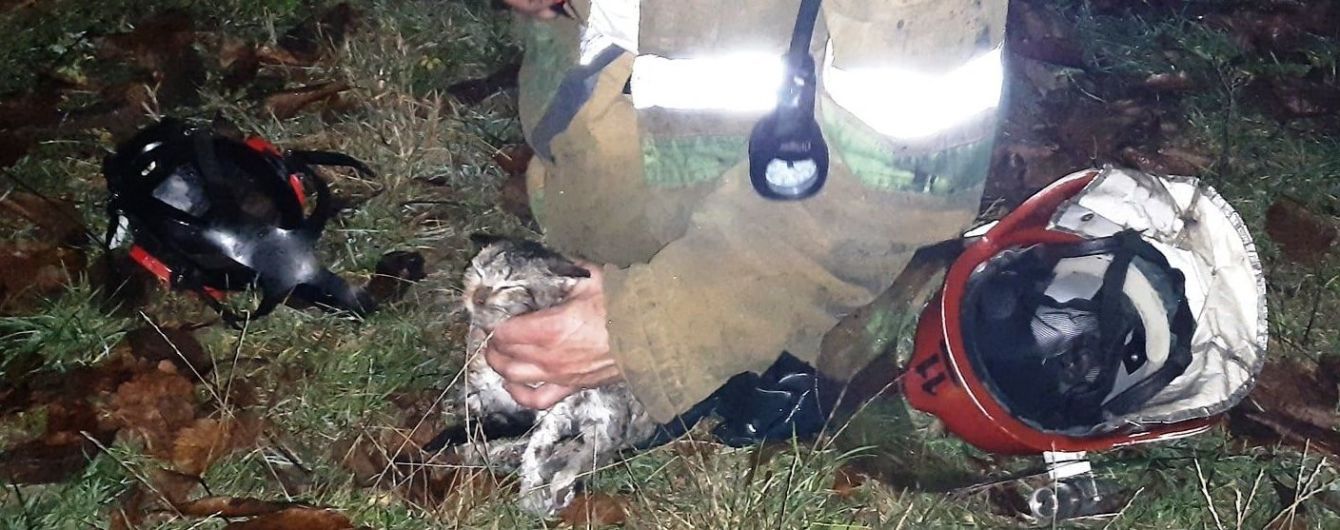 Полтавская ГСЧС показала трогательные кадры спасения котенка из пожара