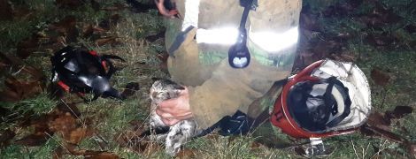 Полтавская ГСЧС показала трогательные кадры спасения котенка из пожара