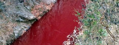 В Южной Корее из-за крови тысячи убитых свиней побагровела река