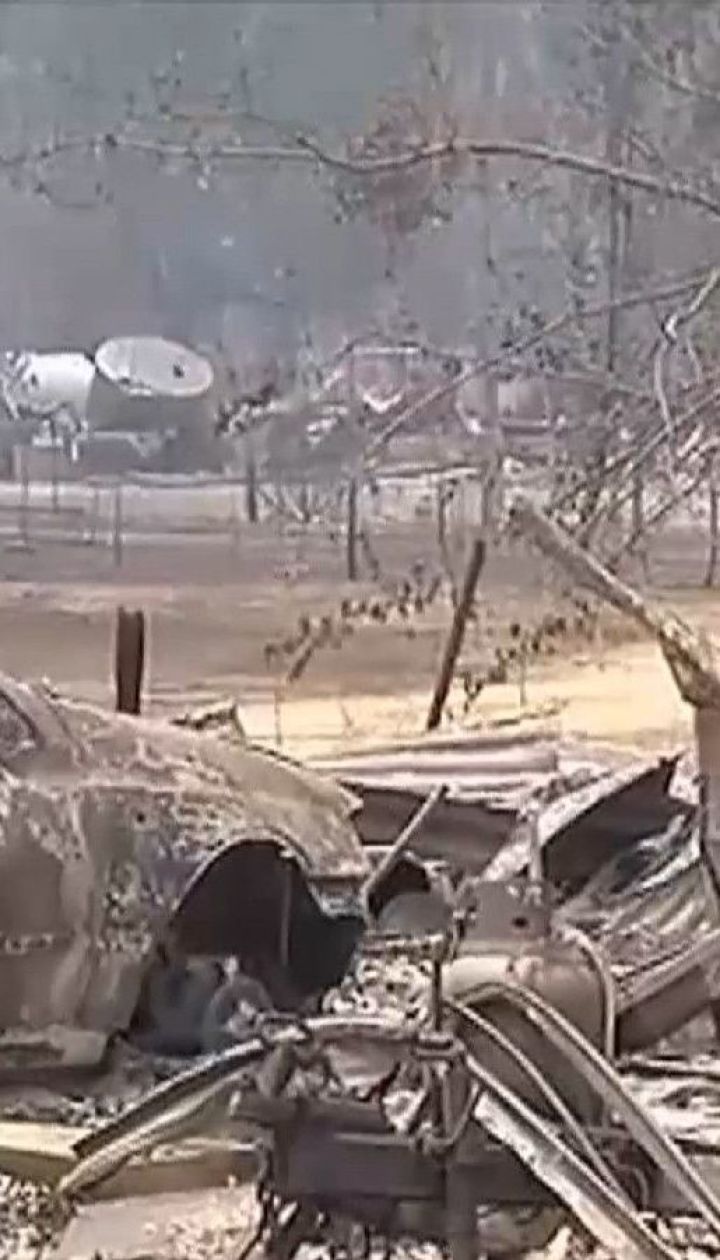 В Австралії зросла кількість загиблих під час катастрофічних лісових пожеж