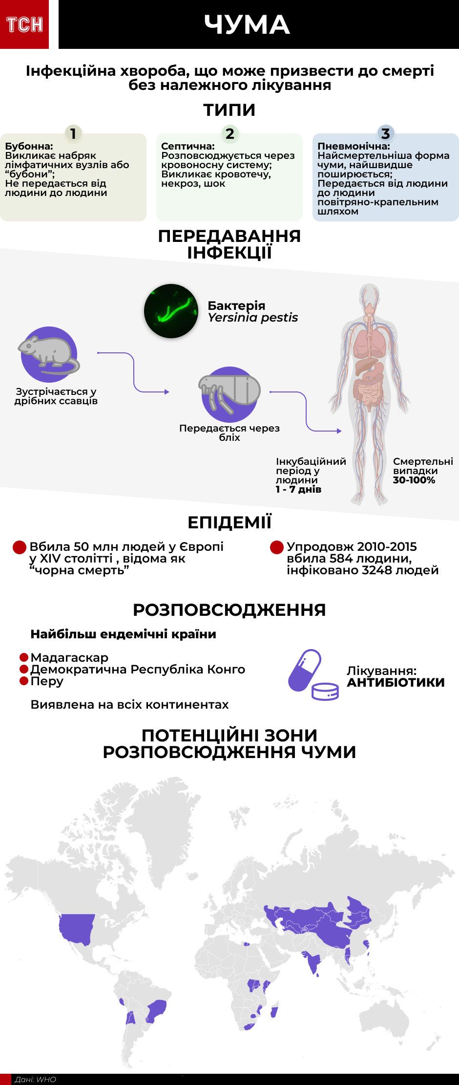 Чума, інфографіка