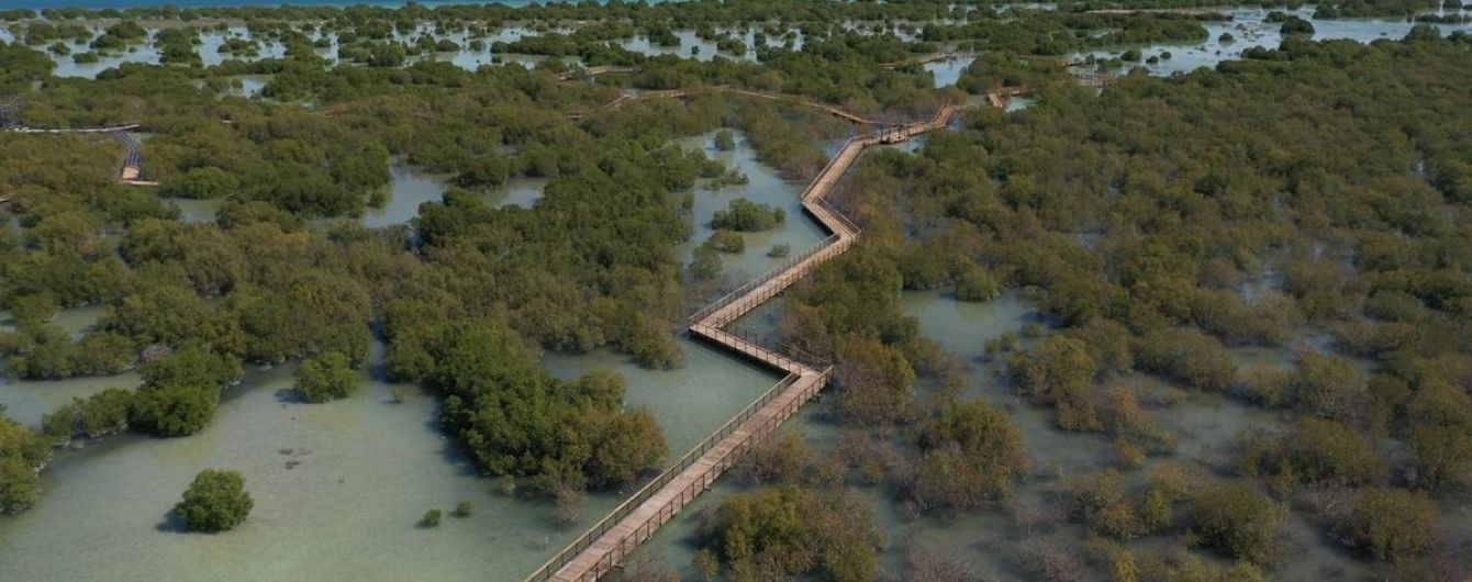 В Абу-Дабі з'явиться унікальна зона для туристів