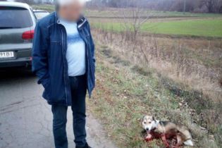 Чиновнику-живодеру, который тащил собаку по дороге, грозит до 8 лет за решеткой