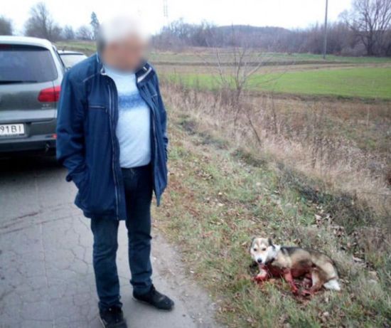 Чиновнику-шкуродеру, який тягнув собаку дорогою, загрожує до 8 років за ґратами