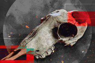 Учені попереджають про початок масового вимирання на Землі. Чим це загрожує планеті та людям