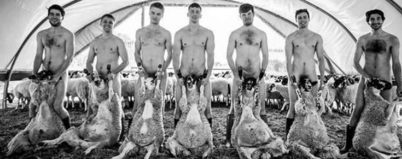 Студентів, які прикрили статеві органи живими вівцями, зацькували вегани