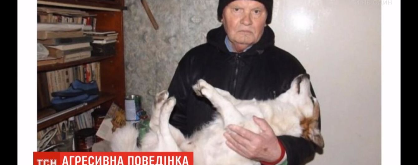 В Виннице парень ради забавы забил собаку пенсионера: что грозит злоумышленнику