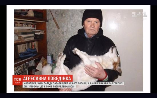У Вінниці молодик заради забави забив собаку пенсіонера: що загрожує зловмиснику