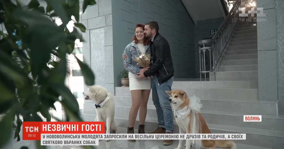 Замість гостей - собаки: молодята із Волині влаштували оригінальну весільну церемонію