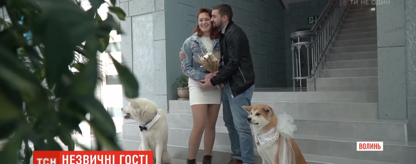 Вместо гостей - собаки: молодожены из Волыни устроили оригинальную свадебную церемонию