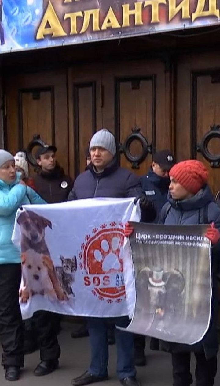 Зоозащитники пикетировали Одесский государственный цирк с требованиями соблюдать закон