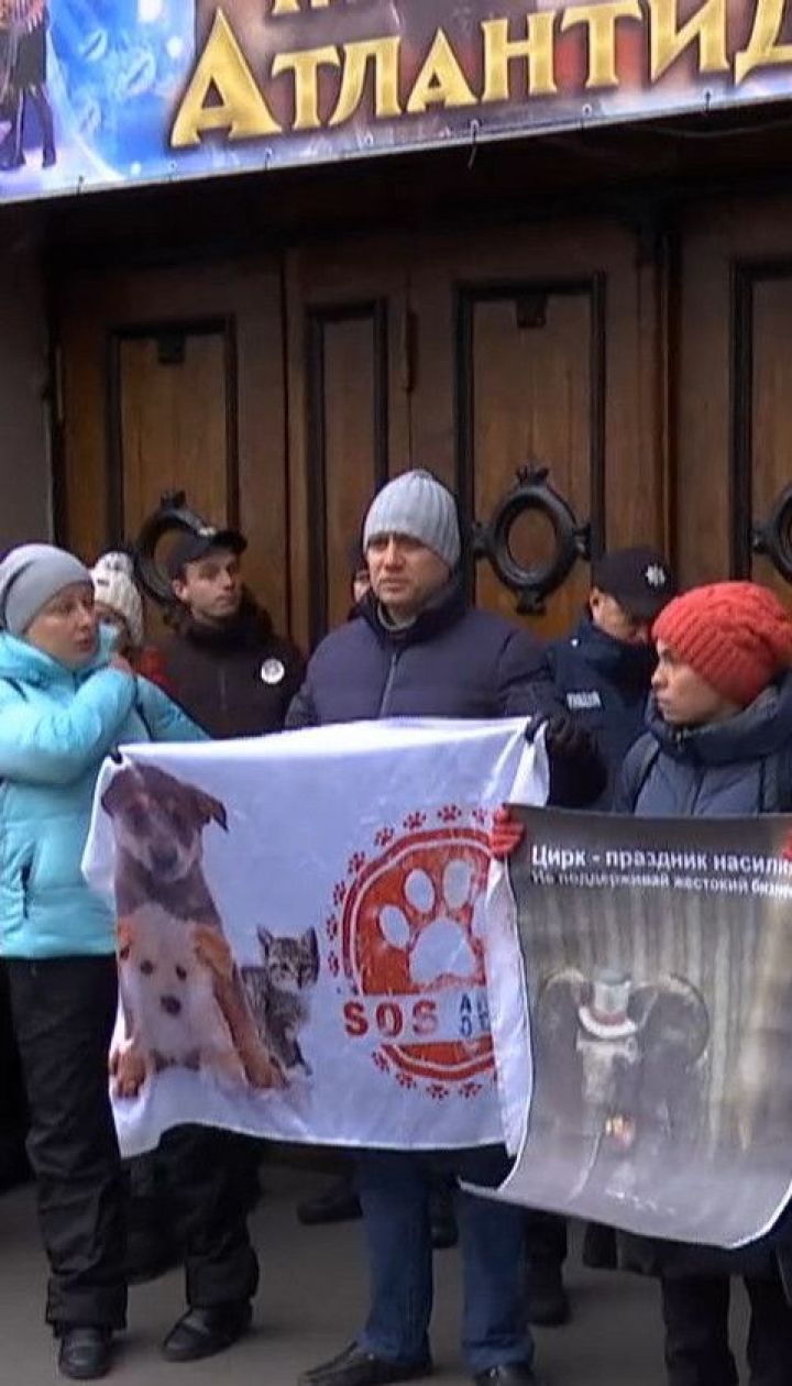 Зоозахисники пікетували Одеський державний цирк із вимогами дотримуватись закону