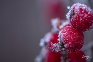 День, розділений на дві частини: гороскоп на 26 листопада