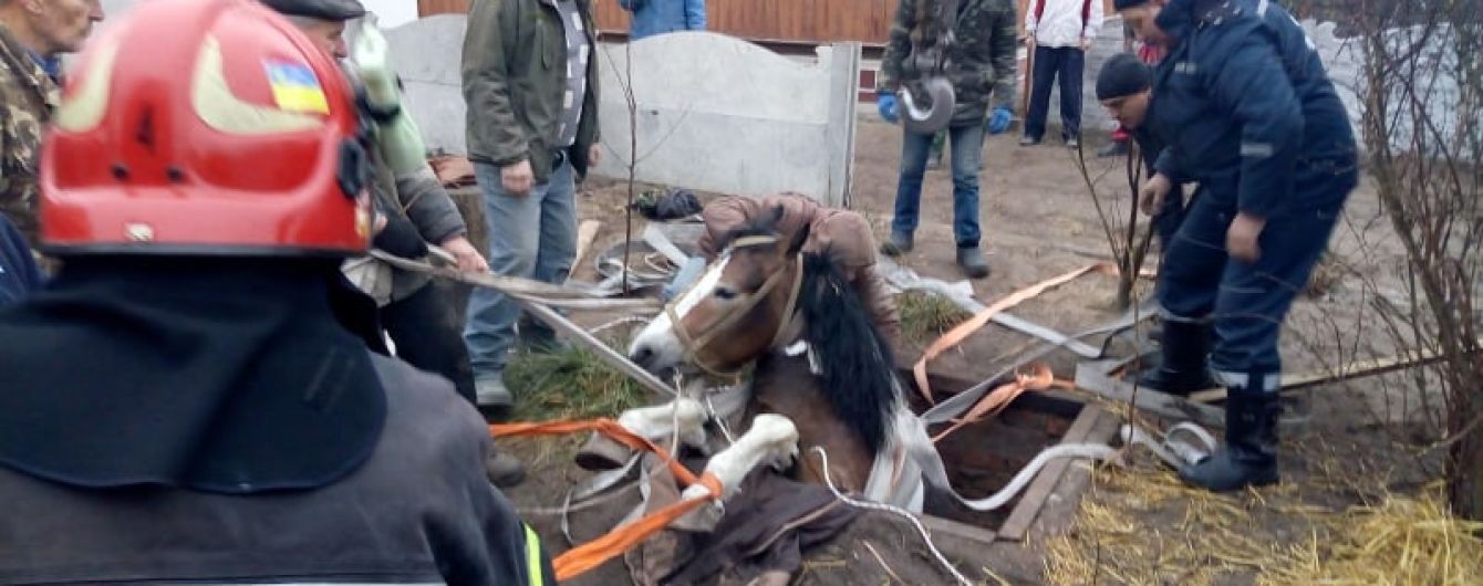 На Ровенщине конь упал в яму с кормом, но его вытащили спасатели
