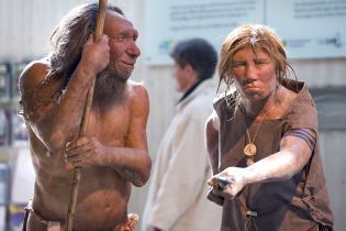 Homo sapiens ні до чого: неандертальців міг вбити секс з близькими родичами та поганий талан