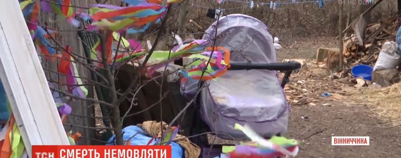 "Тварина лягла і заснула на голові в дитини”. На Вінниччині домашній кіт задушив 9-місячне немовля