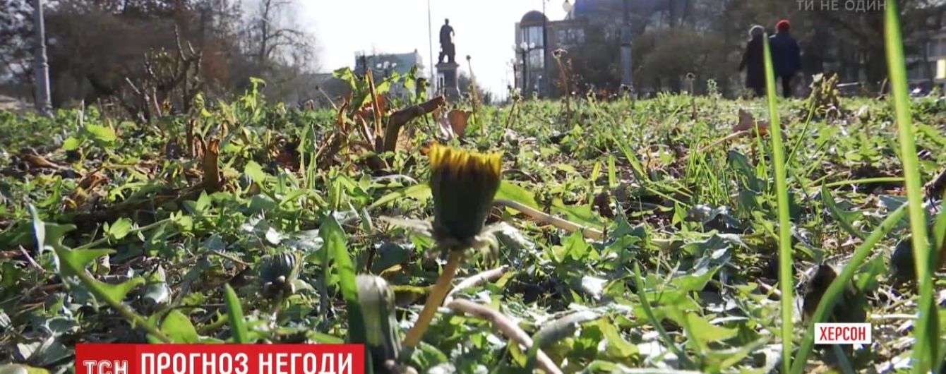 Карпаты и Запад страны накрывает снегом, а в Херсоне цветет одуванчик: какими межсезонными аномалиями встретила зима украинцев