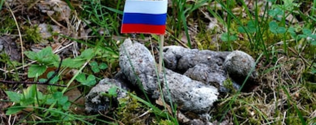 В России заблокировали Shutterstock из-за фото триколора в кучке фекалий