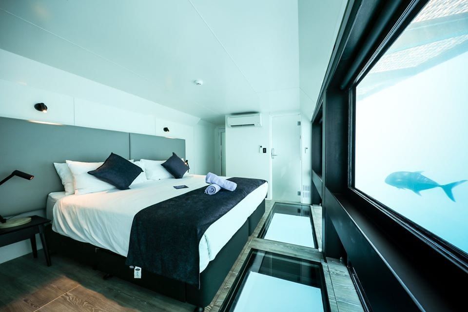 Reefsuites