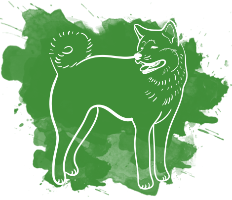 Подарунки ТСН