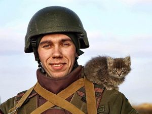 "Це вже не перше перемир'я": що кажуть про режим припинення вогню на передовій
