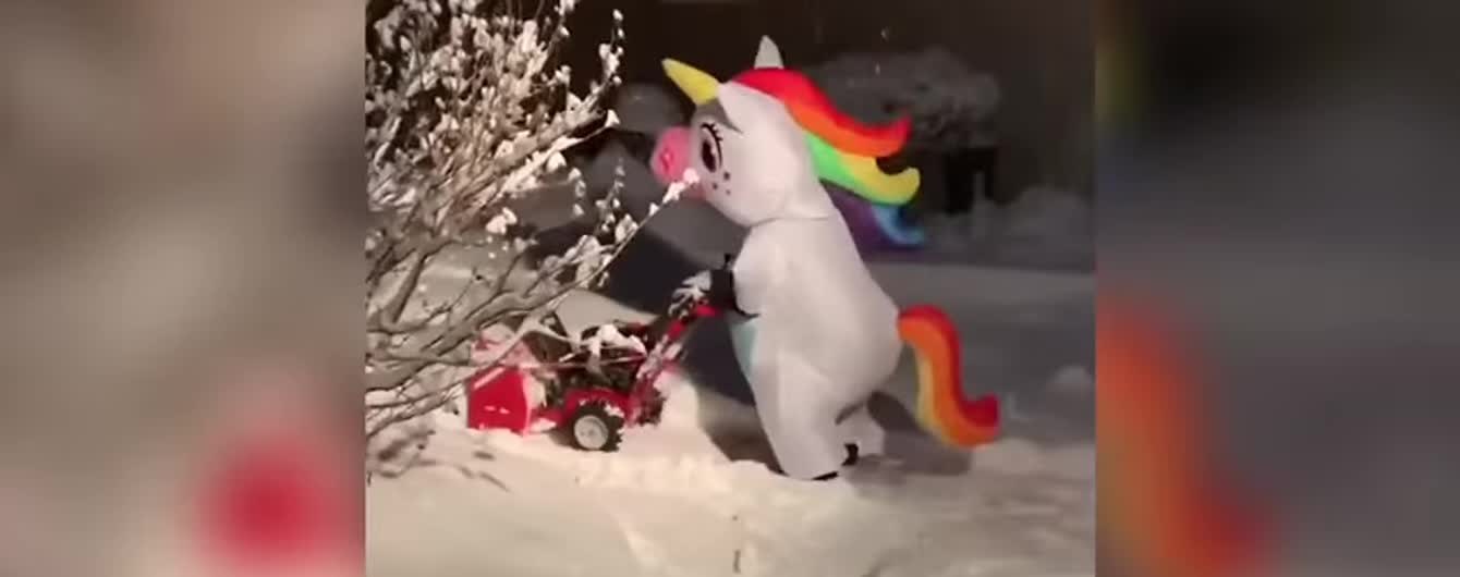 Сеть смешит видео с женщиной в костюме единорога, которая убирает снег