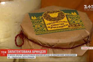 Брындзя стала первым украинским продуктом с географическим названием: что это даст украинским пастухам овец
