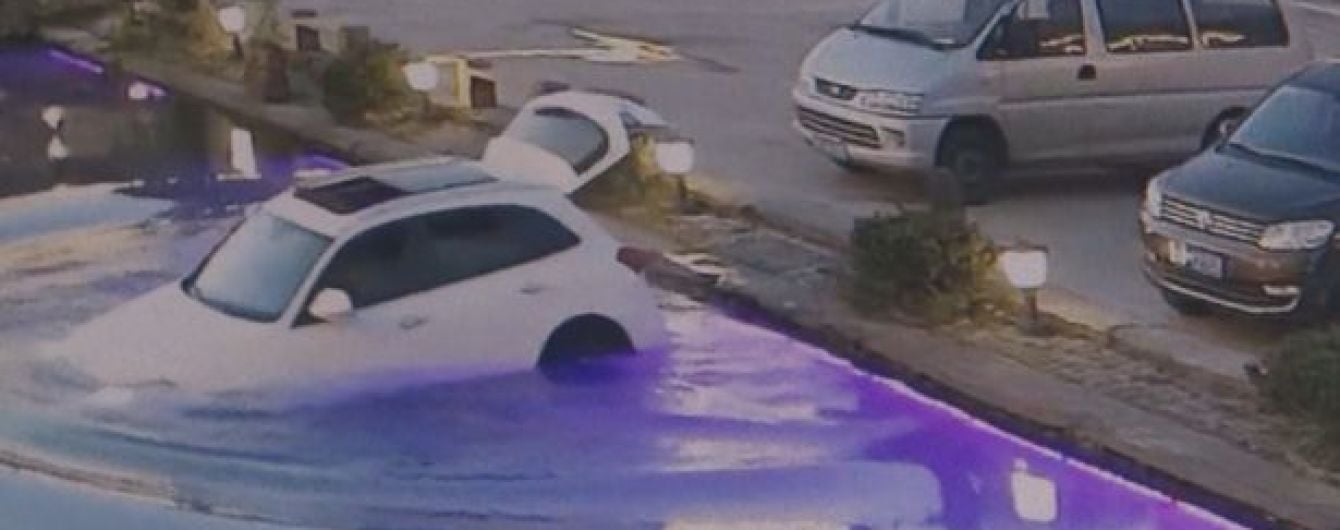 У Китаї радісний собака втопив автомобіль у водоймі